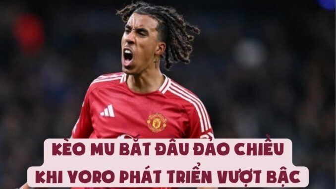 Kèo MU Bắt Đầu Đảo Chiều Khi Yoro Phát Triển Vượt Bậc